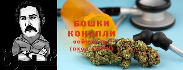 меф Бердск