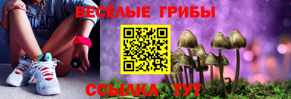 Галлюциногенные грибы Psilocybine cubensis  Псилоцибиновые грибы Cubensis  Вход с VPN  Челябинск 