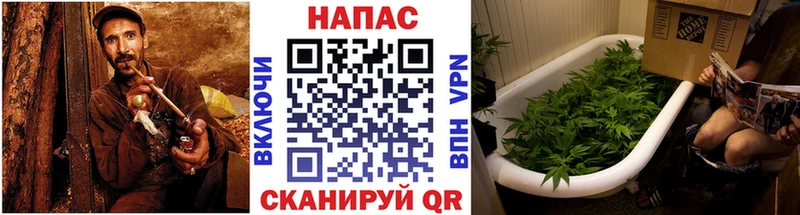 Бошки марихуана марихуана  Челябинск 